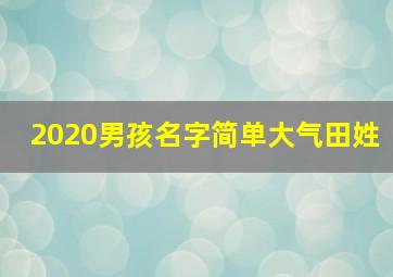 2020男孩名字简单大气田姓