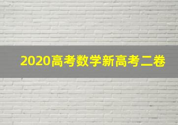 2020高考数学新高考二卷