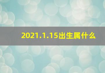 2021.1.15出生属什么