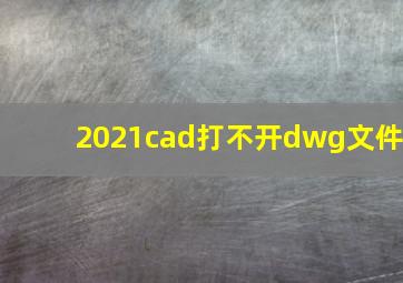 2021cad打不开dwg文件