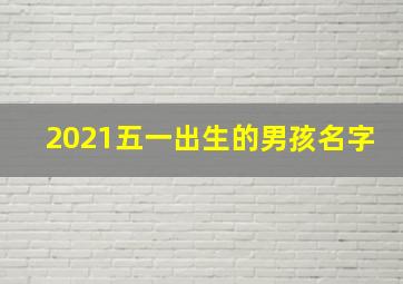 2021五一出生的男孩名字