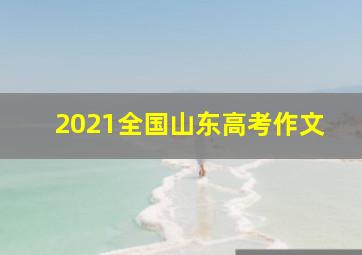 2021全国山东高考作文