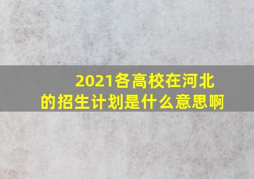 2021各高校在河北的招生计划是什么意思啊