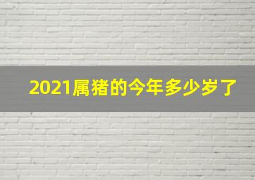 2021属猪的今年多少岁了