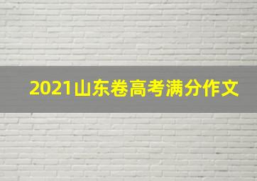 2021山东卷高考满分作文