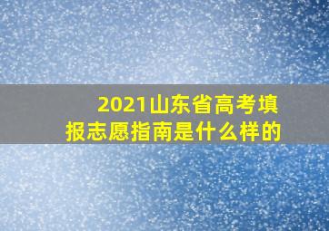 2021山东省高考填报志愿指南是什么样的