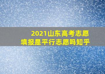 2021山东高考志愿填报是平行志愿吗知乎