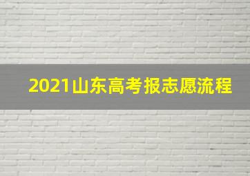 2021山东高考报志愿流程