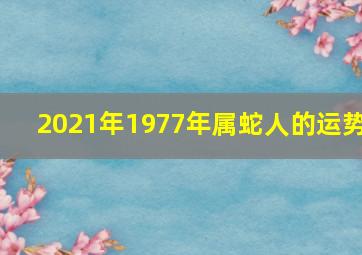 2021年1977年属蛇人的运势