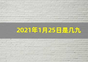 2021年1月25日是几九