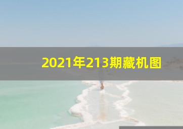 2021年213期藏机图