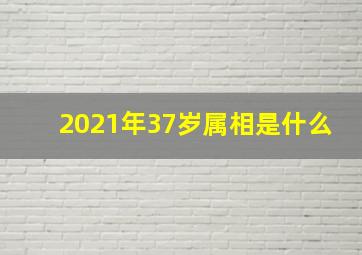 2021年37岁属相是什么