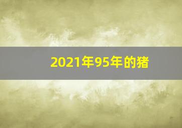 2021年95年的猪