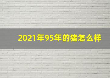 2021年95年的猪怎么样