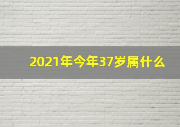 2021年今年37岁属什么