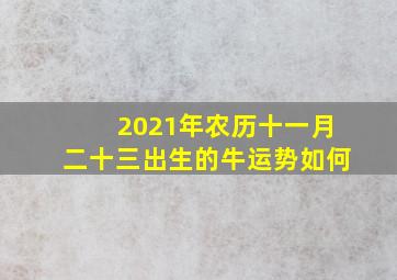 2021年农历十一月二十三出生的牛运势如何