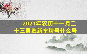 2021年农历十一月二十三男选新车牌号什么号