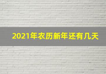 2021年农历新年还有几天