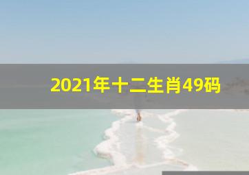 2021年十二生肖49码