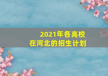 2021年各高校在河北的招生计划