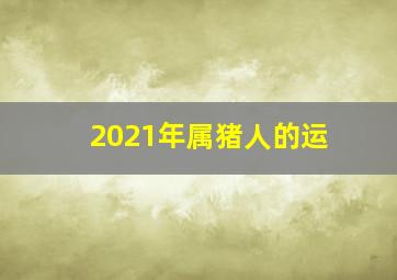 2021年属猪人的运