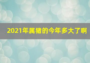 2021年属猪的今年多大了啊