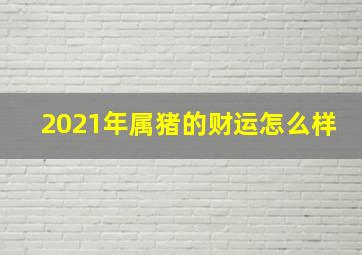 2021年属猪的财运怎么样