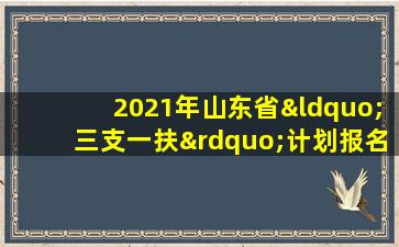 2021年山东省“三支一扶”计划报名平台