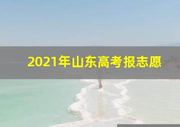 2021年山东高考报志愿