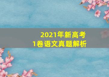 2021年新高考1卷语文真题解析