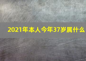 2021年本人今年37岁属什么