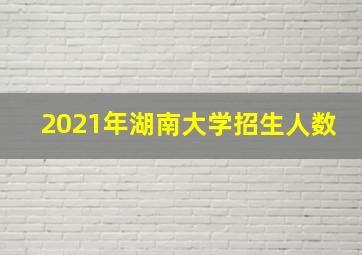 2021年湖南大学招生人数