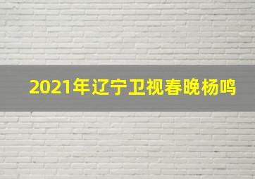 2021年辽宁卫视春晚杨鸣