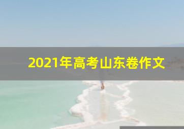 2021年高考山东卷作文