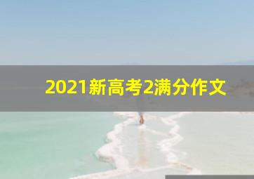 2021新高考2满分作文