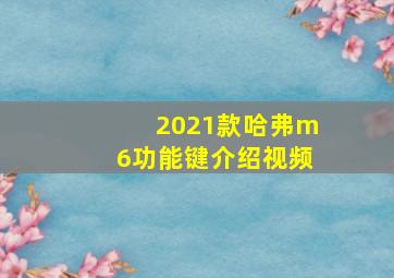 2021款哈弗m6功能键介绍视频