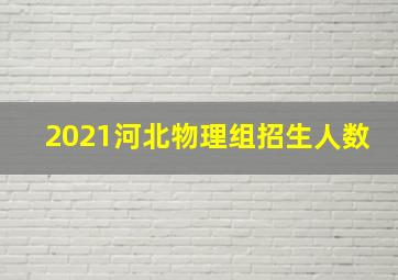 2021河北物理组招生人数