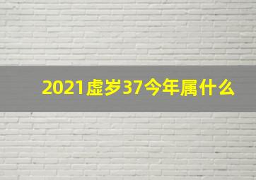 2021虚岁37今年属什么