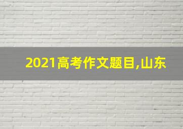 2021高考作文题目,山东