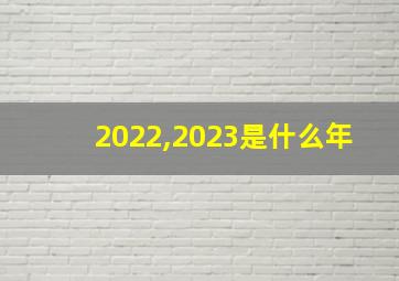 2022,2023是什么年