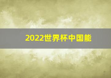 2022世界杯中国能