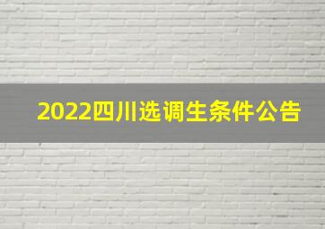 2022四川选调生条件公告