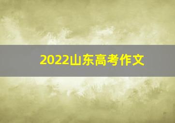 2022山东高考作文