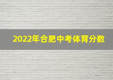 2022年合肥中考体育分数