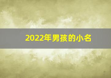 2022年男孩的小名