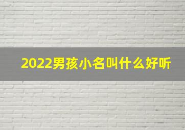 2022男孩小名叫什么好听