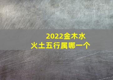 2022金木水火土五行属哪一个