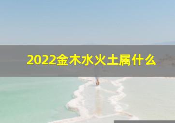 2022金木水火土属什么