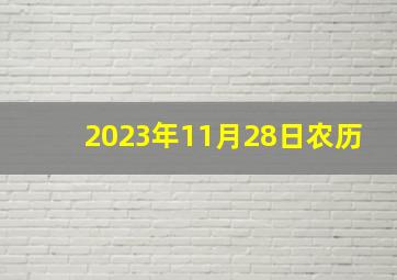 2023年11月28日农历