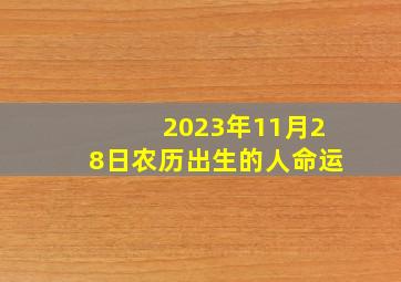 2023年11月28日农历出生的人命运